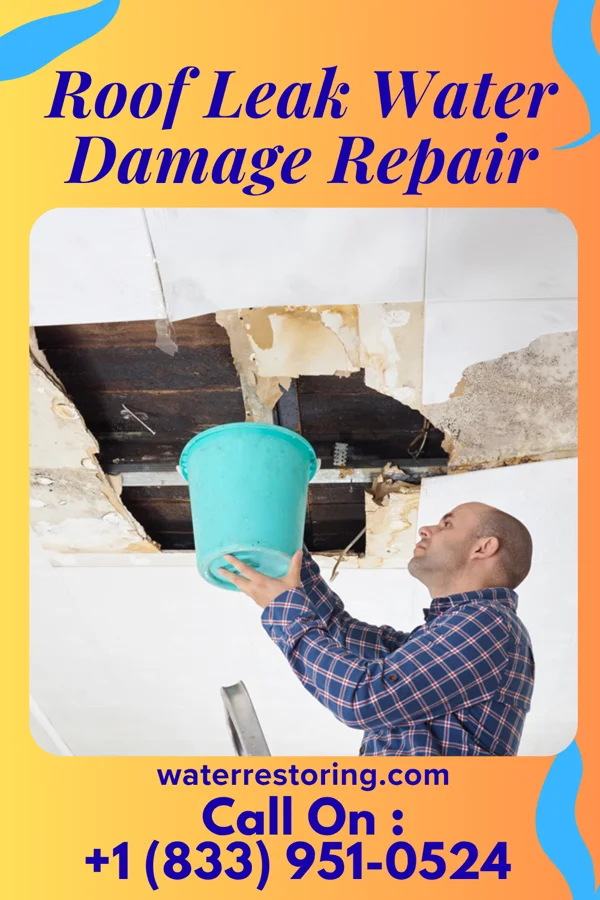 Roof Leak Water Damage Repair in Oakland Park, FL